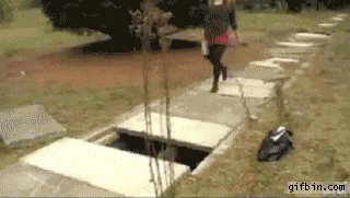 giphy